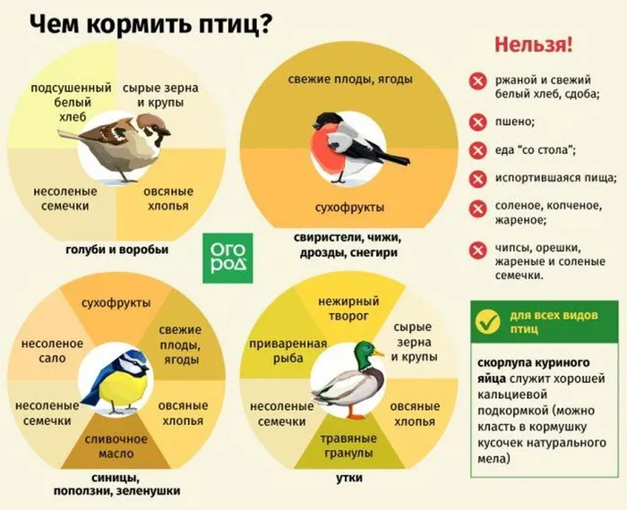 Что сделать из старого ковра_ несколько интересных идей с фото