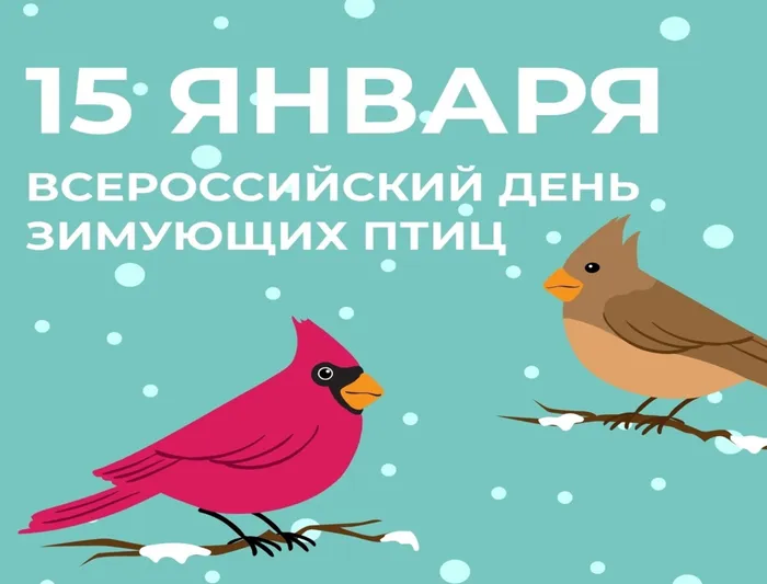 vdzp