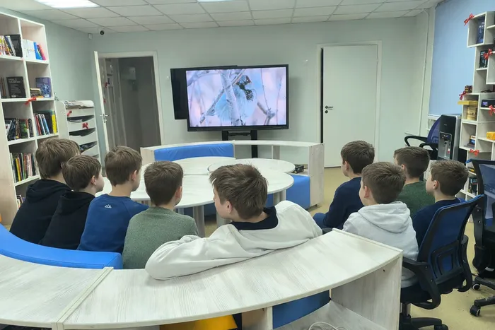 Мальчики смотрят на экран телевизора